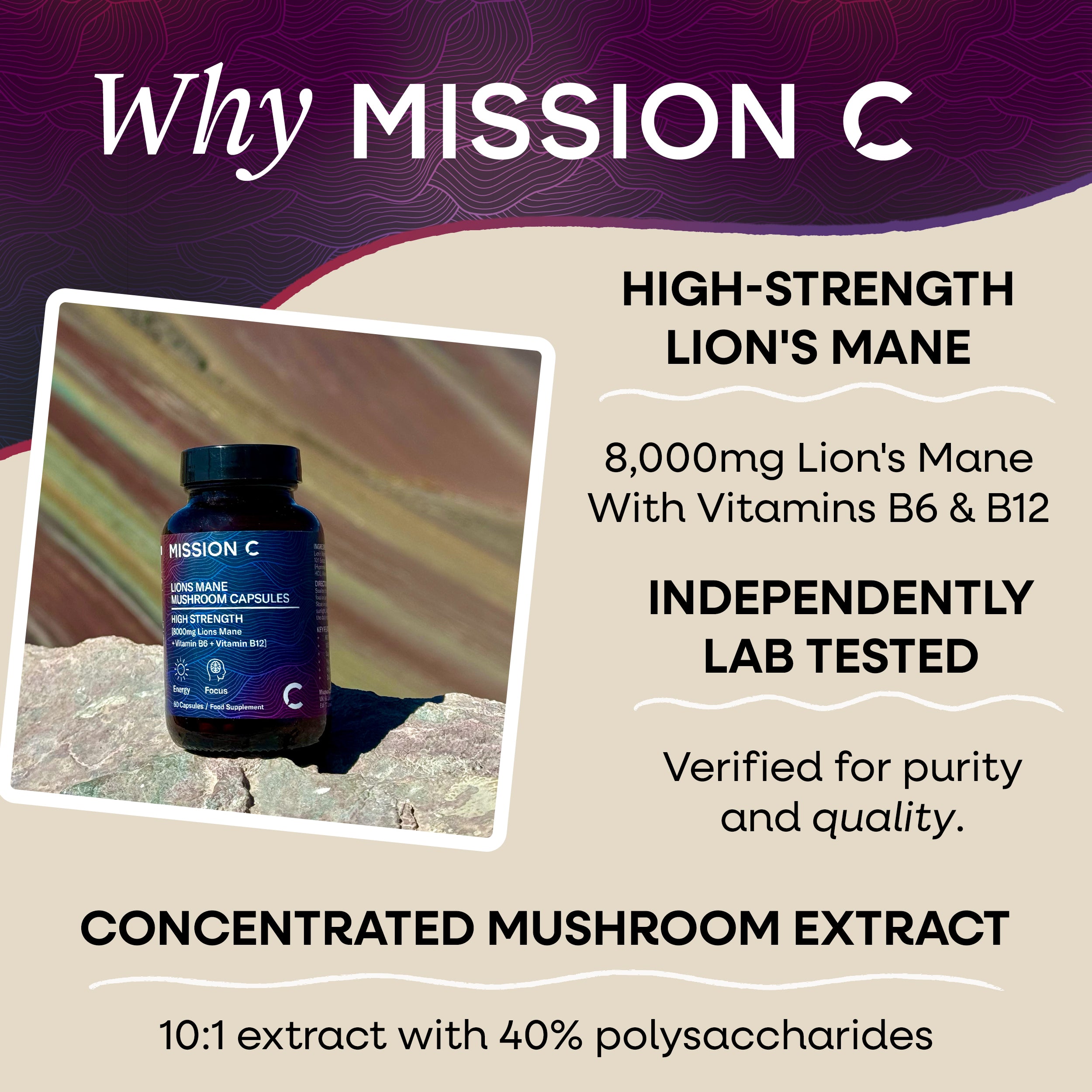 Lion's Mane Mushroom 8000mg Capsules