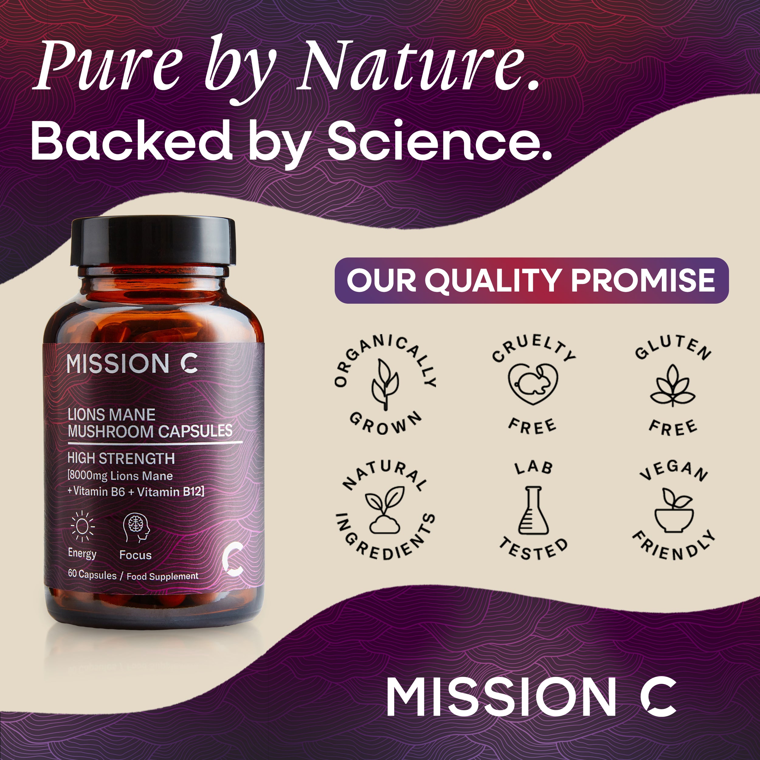 Lion's Mane Mushroom 8000mg Capsules
